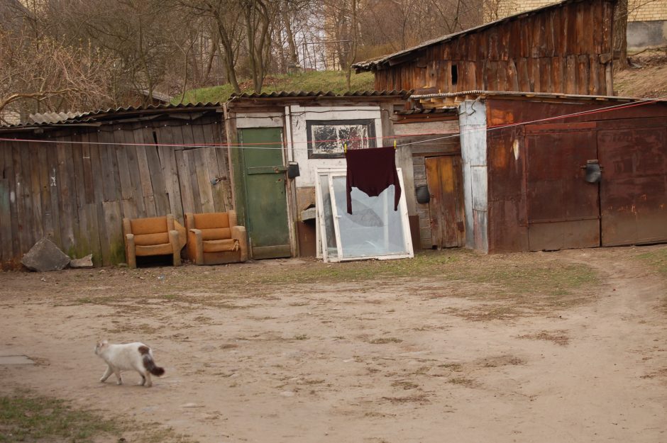 Vasarą ruošiamasi sutikti NATO svečius: Naujininkų piktžaizdes paslėps lapai? 