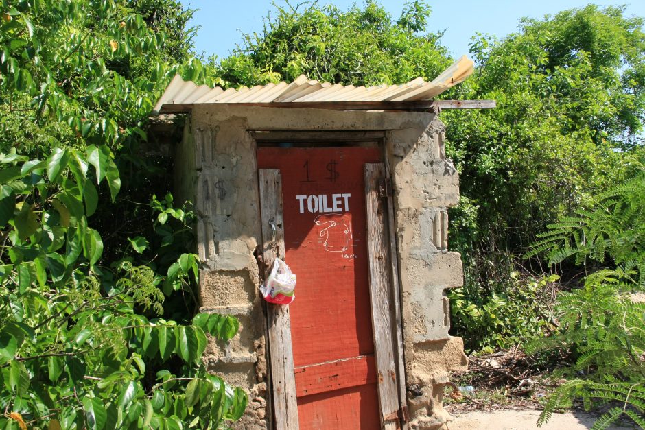 Zanzibaro rojuje svaigino ir vaizdai, ir skoniai, ir kvapai