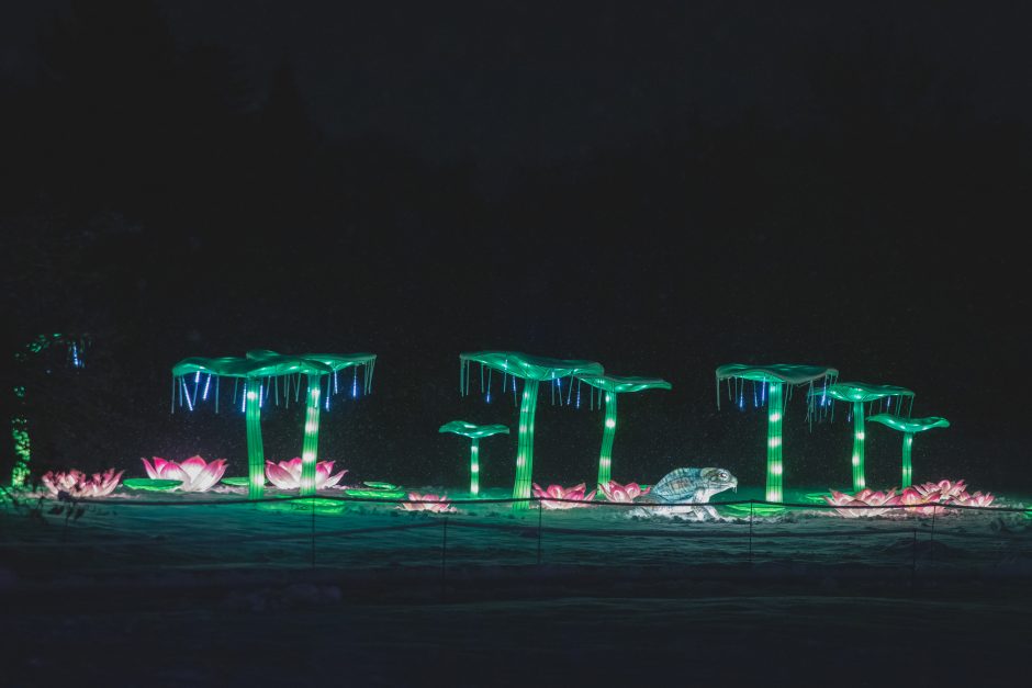 Botanikos sode – magiškas šviesų festivalis (nuotraukų galerija)