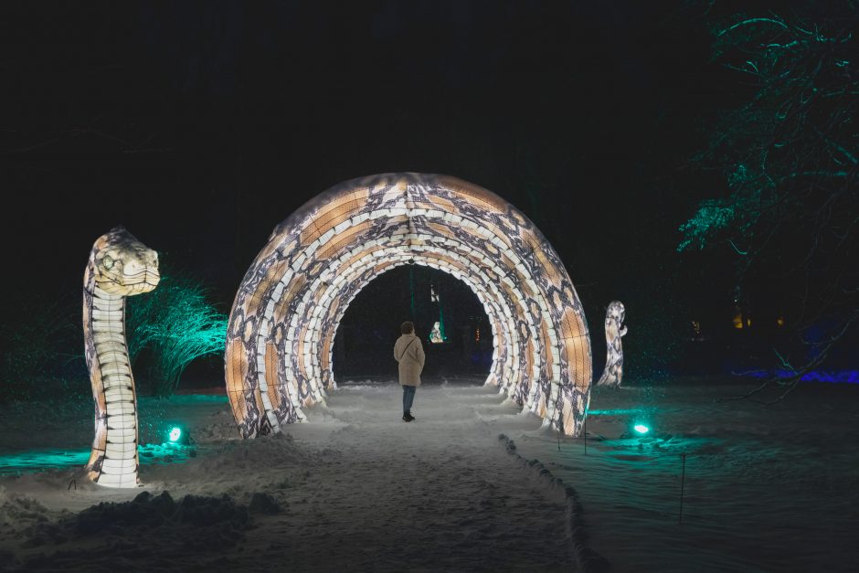 Botanikos sode – magiškas šviesų festivalis (nuotraukų galerija)