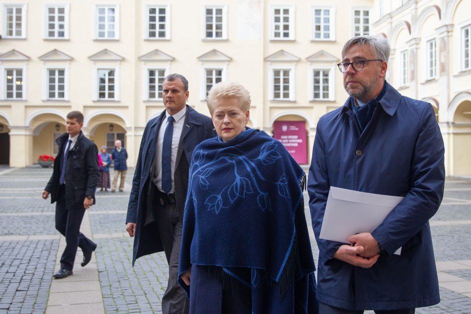 D. Žalimas: partizaninis karas buvo teisėta Lietuvos savigyna