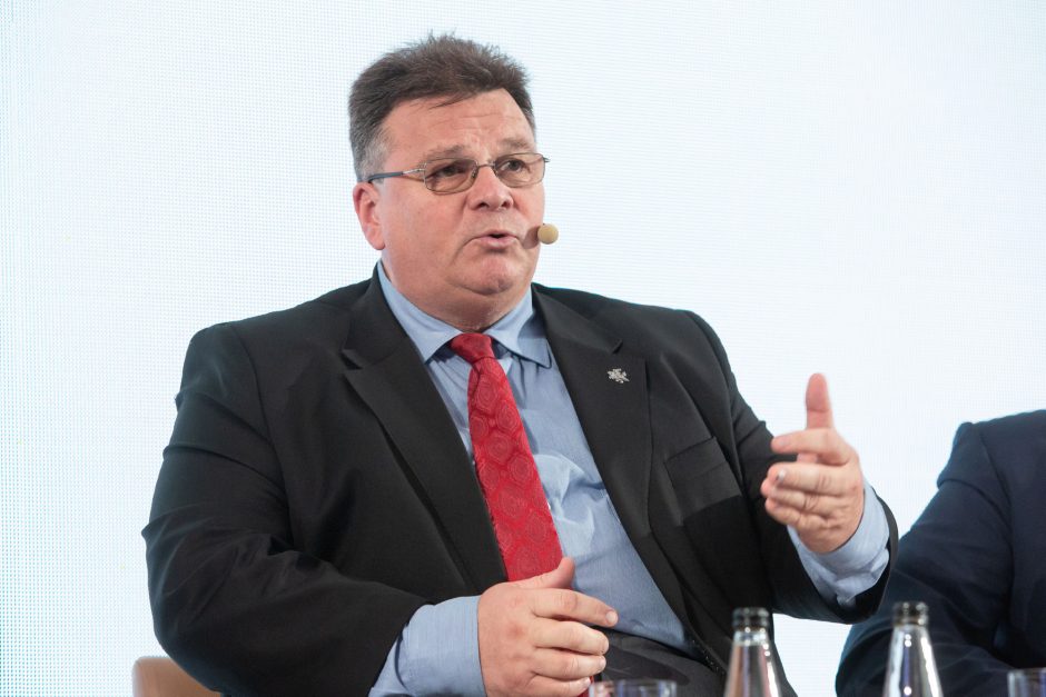 L. Linkevičius: Lietuva pasirengusi glaudesniam organizacijų bendradarbiavimui 