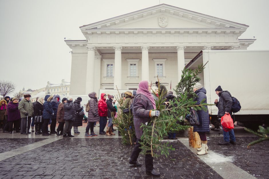 Kasmetinė akcija: miškininkai dovanojo kalėdines eglių šakas