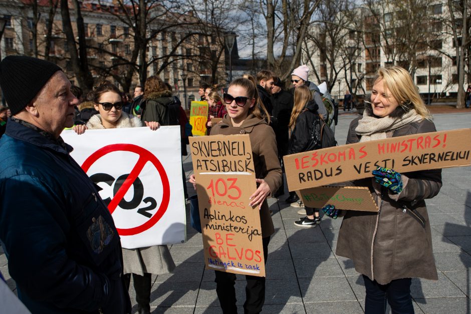 Pasaulinio jaunimo klimato streikas Vilniuje