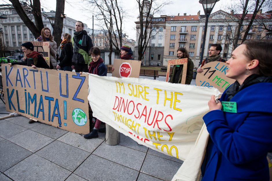 Pasaulinio jaunimo klimato streikas Vilniuje