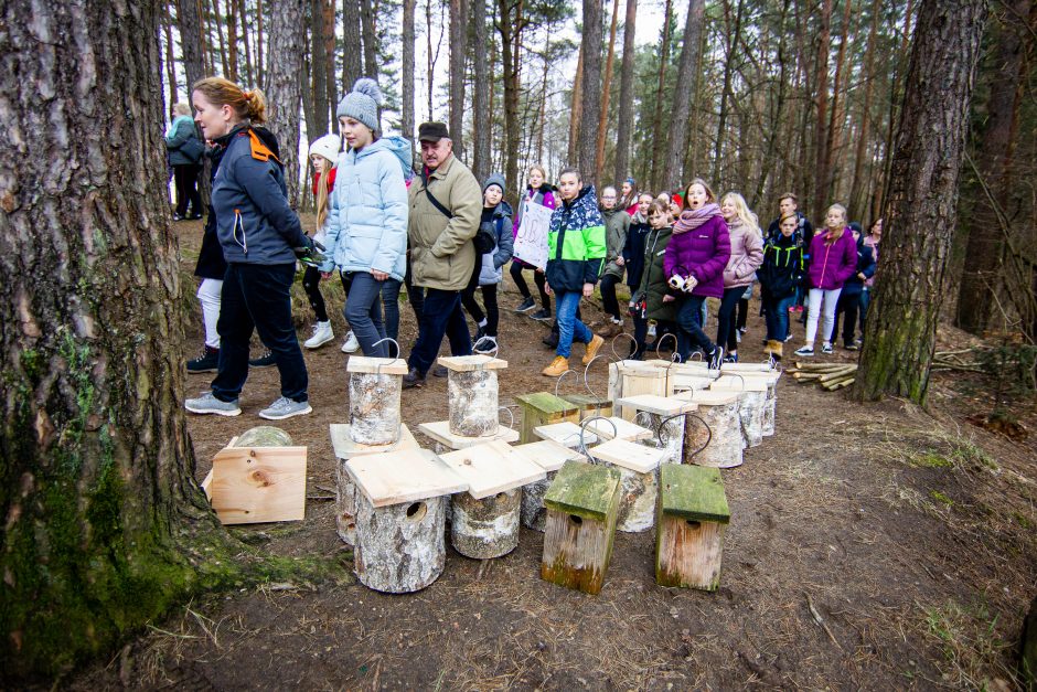 Pasaulinę miškų dieną urėdijose – inkilų kėlimo šventė