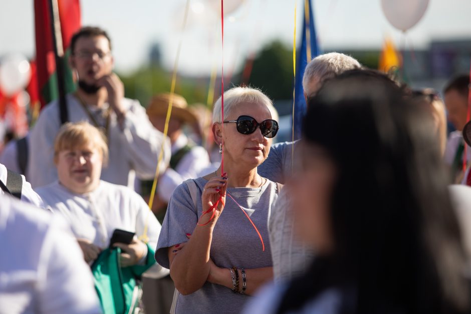 Protestuotojai prie Seimo – policijos akiratyje: gresia baudos