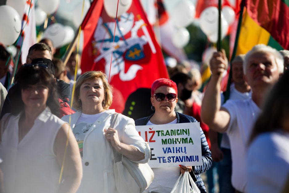 Protestuotojai prie Seimo – policijos akiratyje: gresia baudos