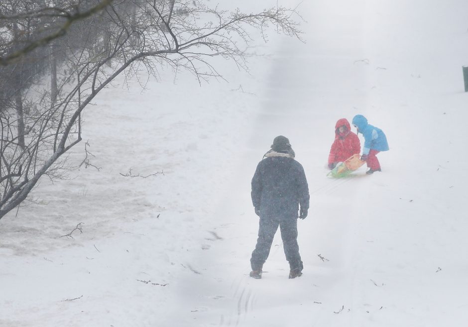 Lenkijoje gelbėdama šunį nuskendo aštuonmetė