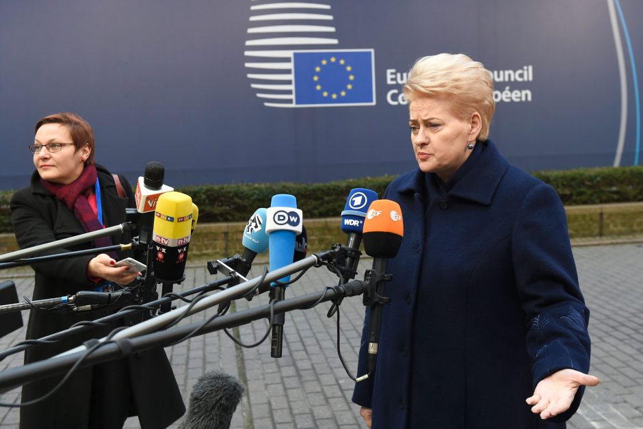 D. Grybauskaitė: civilių žudymas Sirijoje artėja prie karo nusikaltimo ribos