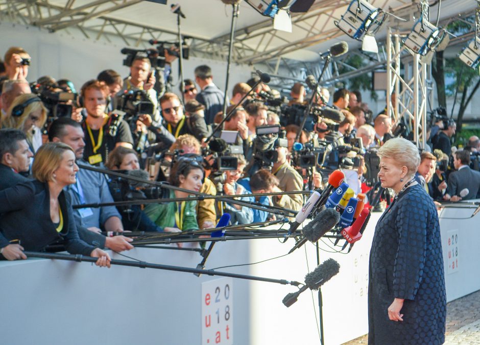 Lietuva siūlo ES kurti bendrą sienos apsaugos standartą