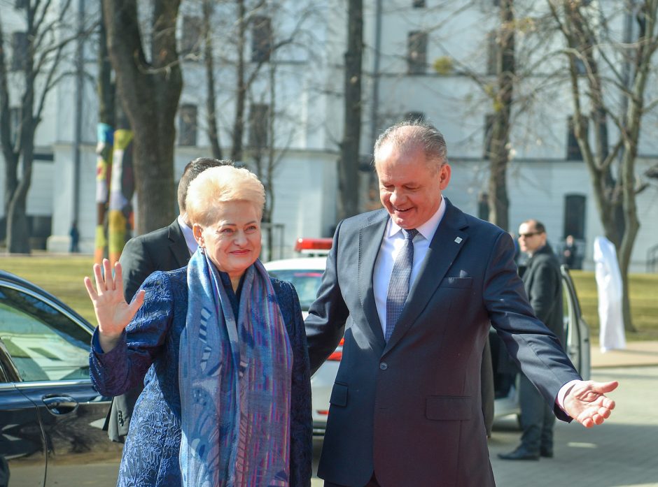 D. Grybauskaitė: geopolitinė realybė reikalauja tvirtos Aljanso vienybės