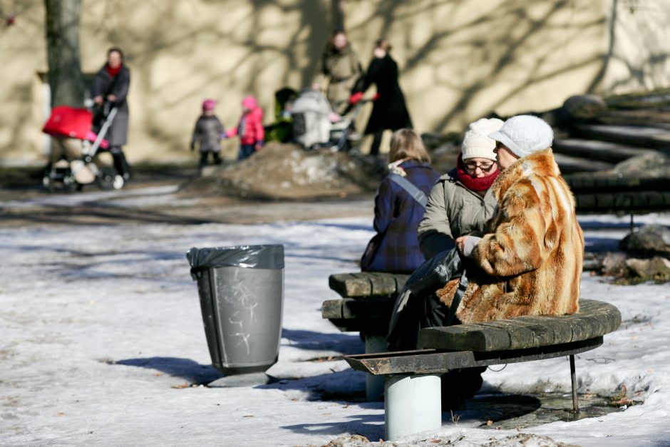 Ryškesnio orų atšilimo teks palaukti