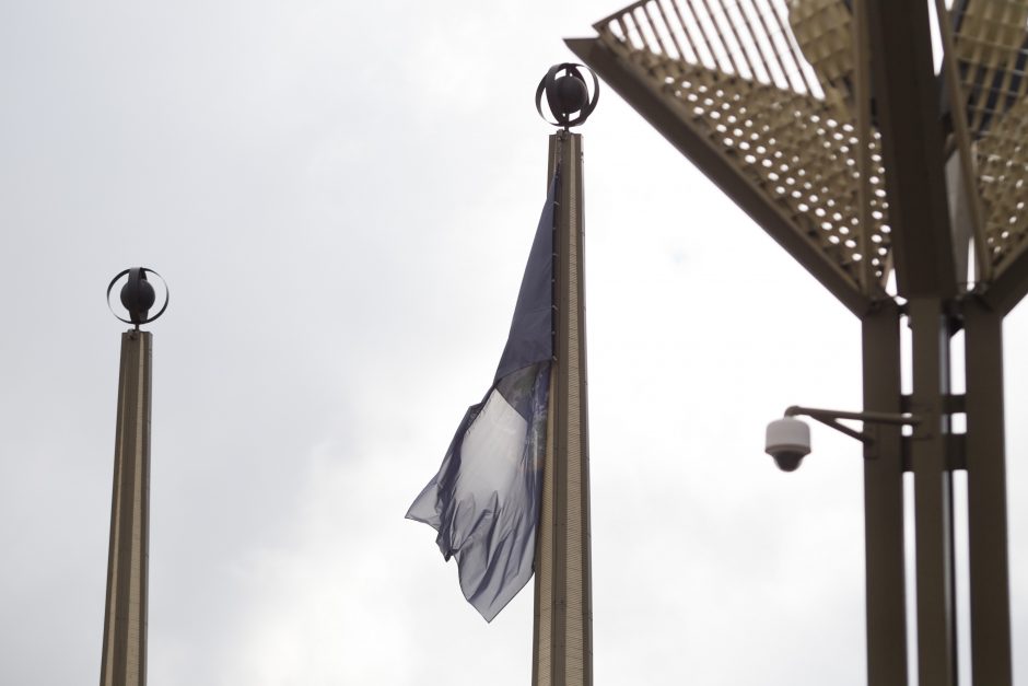 Prie Seimo pakelta Žemės vėliava