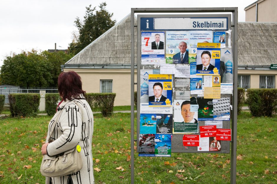 KT vertins dotacijų partijoms skyrimo tvarką rinkimų metais