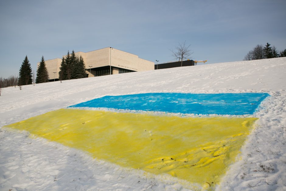 Ambasadoriumi Ukrainoje ketinama skirti diplomatą M. Janukonį