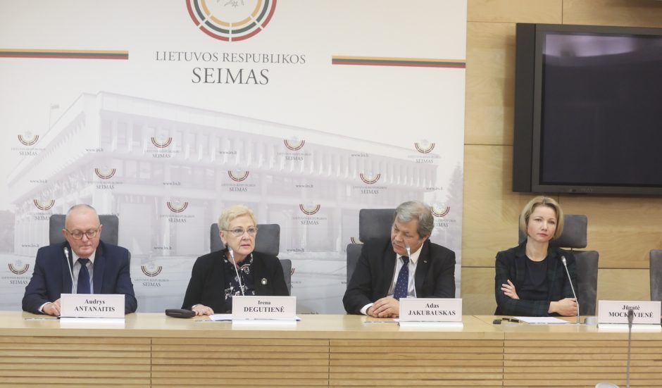 VLKK pirmininkas: lietuvių kalbos modernizavimas nepakenks jos archajiškumui