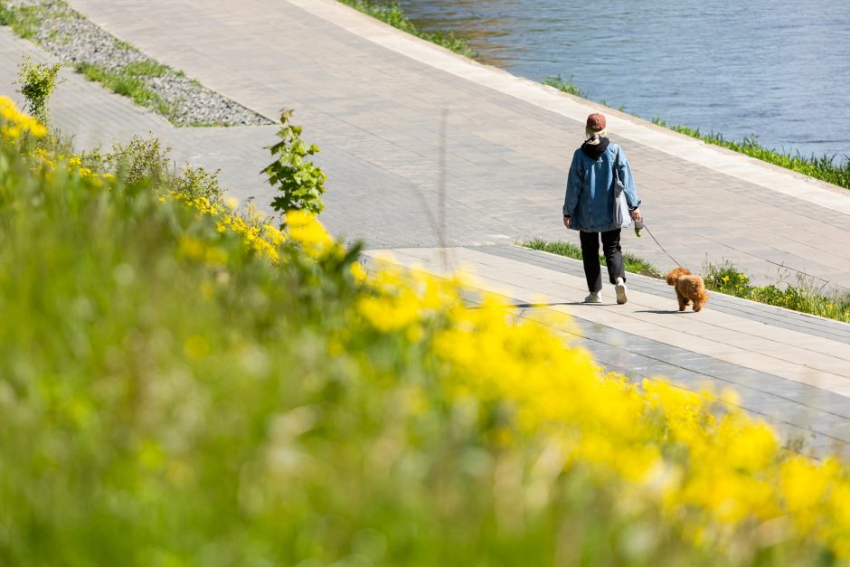 Orai: paskutinės pavasario dienos – lietingos ir vėsios