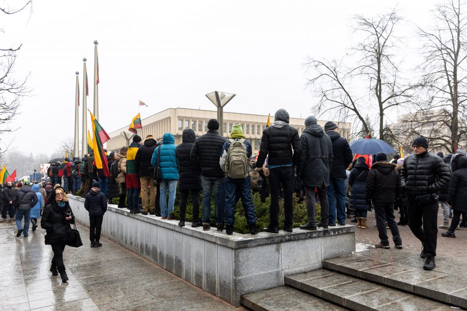 V. Landsbergis apie protestuotojus: nereikia jų vadinti žmonėmis – jie fašistai, „Jedinstvo“