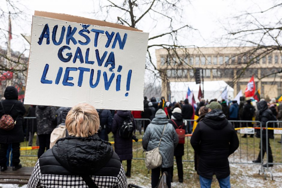 V. Landsbergis apie protestuotojus: nereikia jų vadinti žmonėmis – jie fašistai, „Jedinstvo“