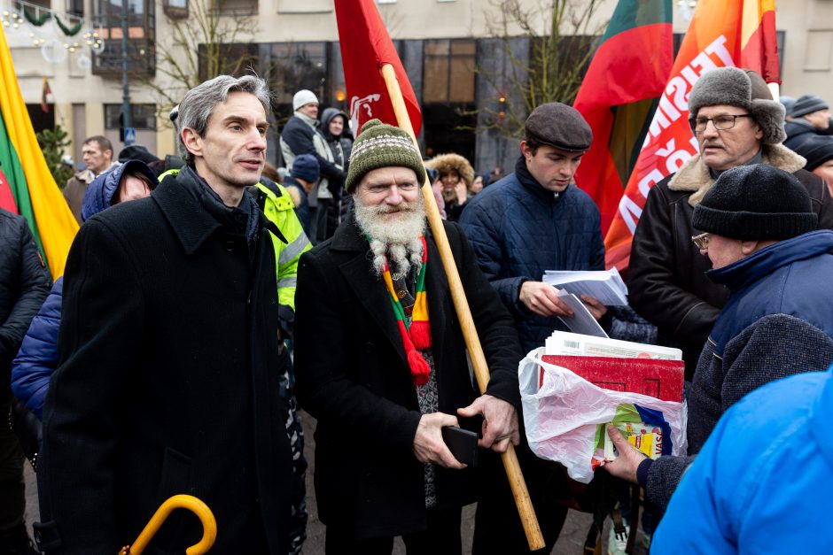 V. Landsbergis apie protestuotojus: nereikia jų vadinti žmonėmis – jie fašistai, „Jedinstvo“