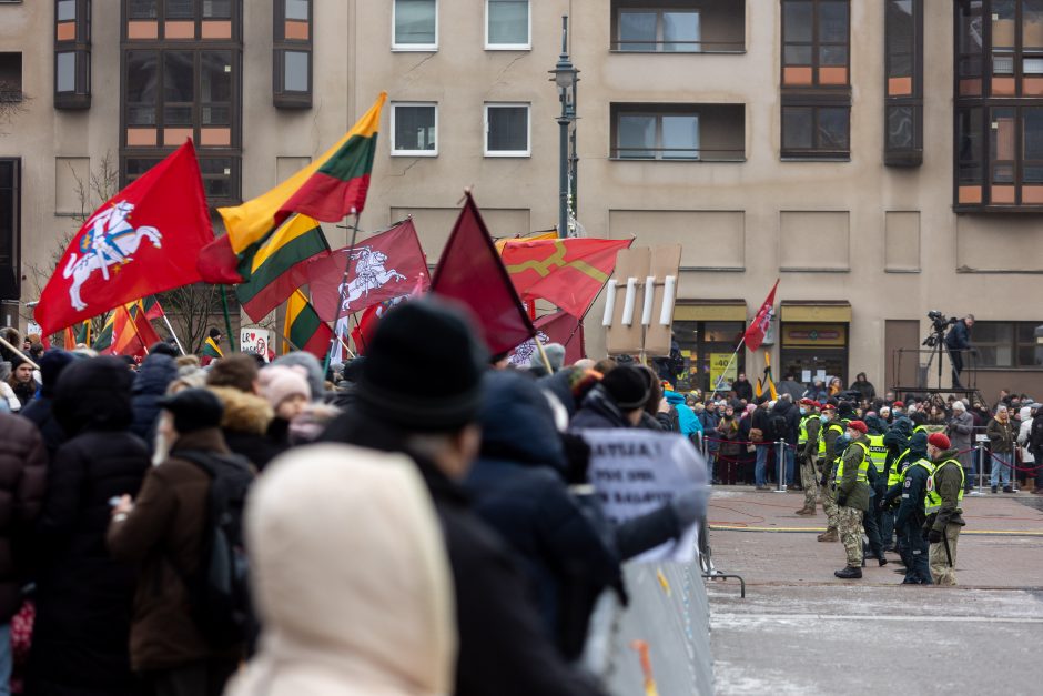 A. Bilotaitė: neapykantos kurstymas Lietuvai šventą dieną – nepateisinamas