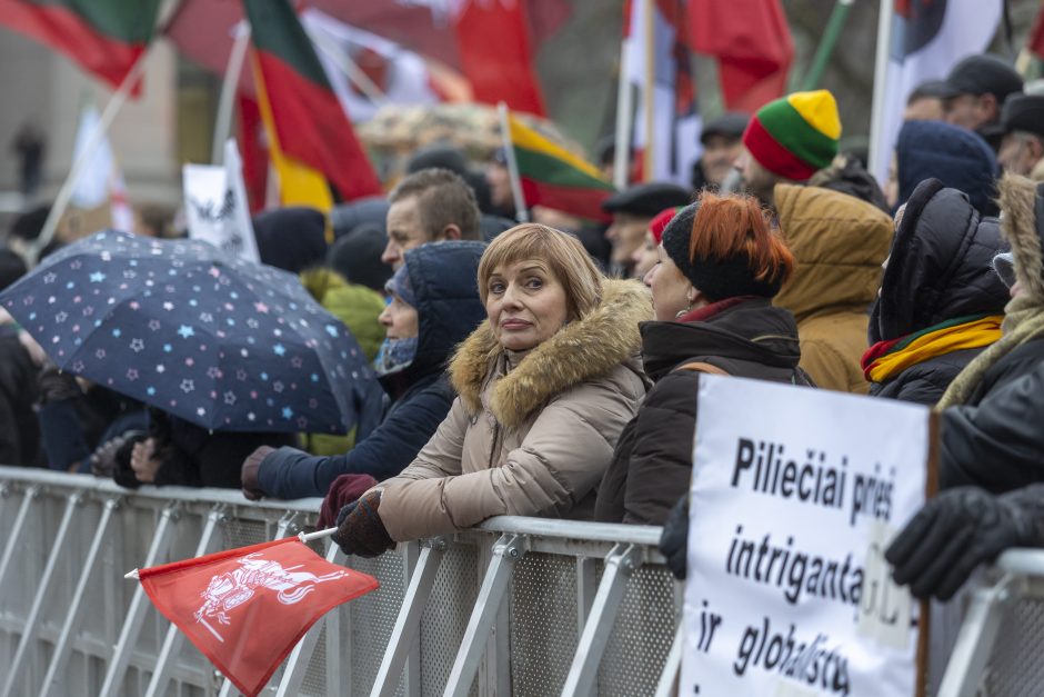 V. Landsbergis apie protestuotojus: nereikia jų vadinti žmonėmis – jie fašistai, „Jedinstvo“