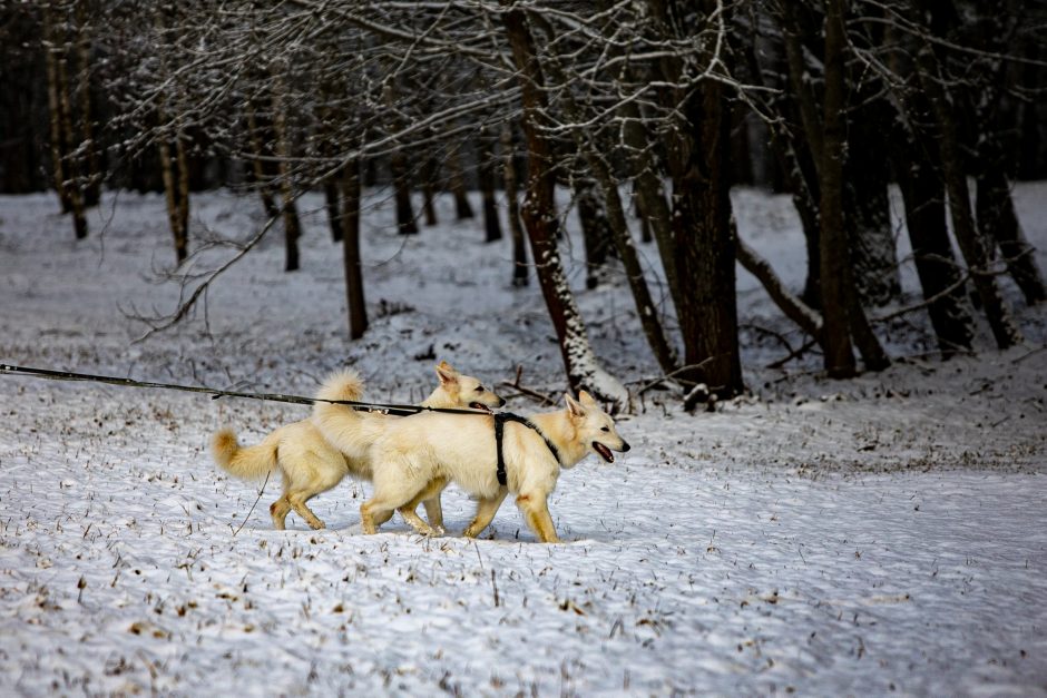 Orai: po sugrįžusio šaltuko vėl atkeliaus permainos