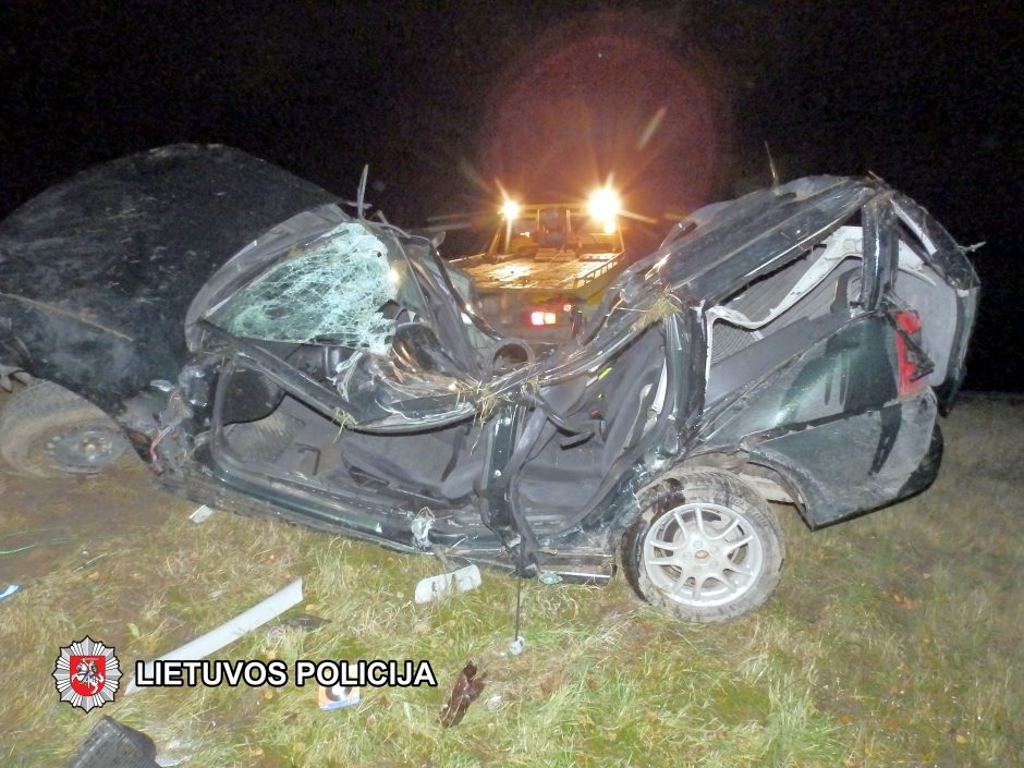 Vilkaviškio rajone automobilis trenkėsi į medį, žuvo vairuotojas