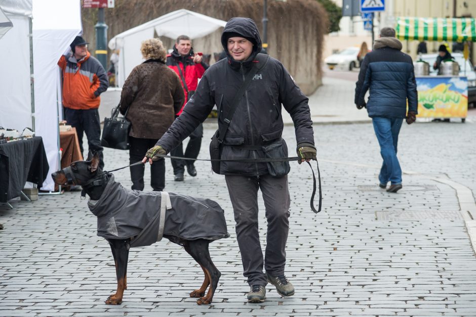 Kaziukas į Vilnių atėjo kartu su pavasariu ir naujomis tradicijomis