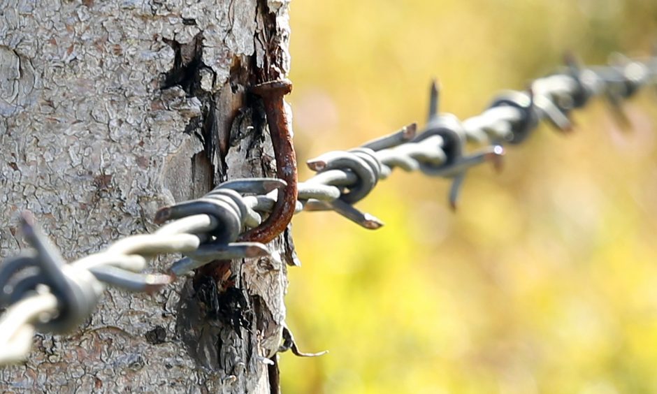 Tylioji žudikė stabligė tyko visur: sode, virtuvėje, garaže