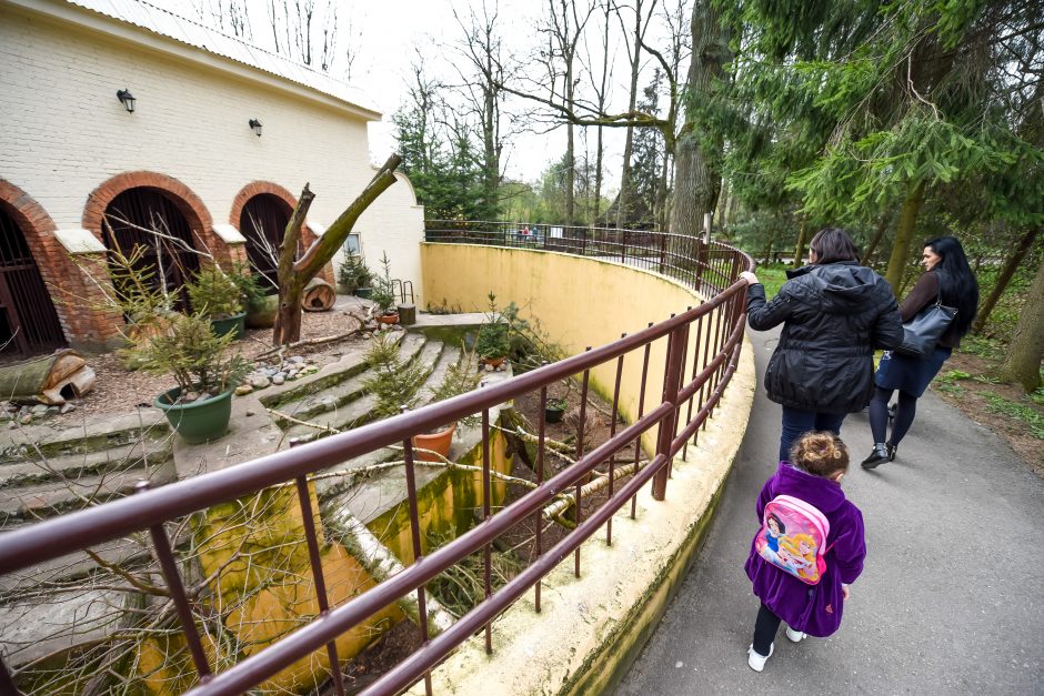 Naują sezoną zoologijos sode – nauji gyvūnai