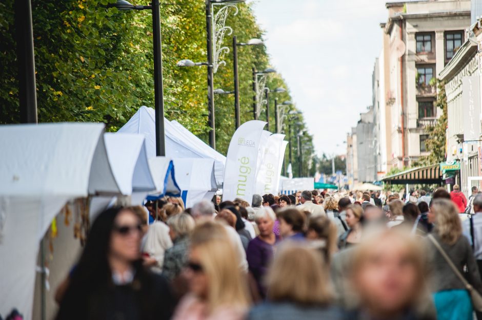 Rudens gėrybių ir amatų mugė Laisvės alėjoje