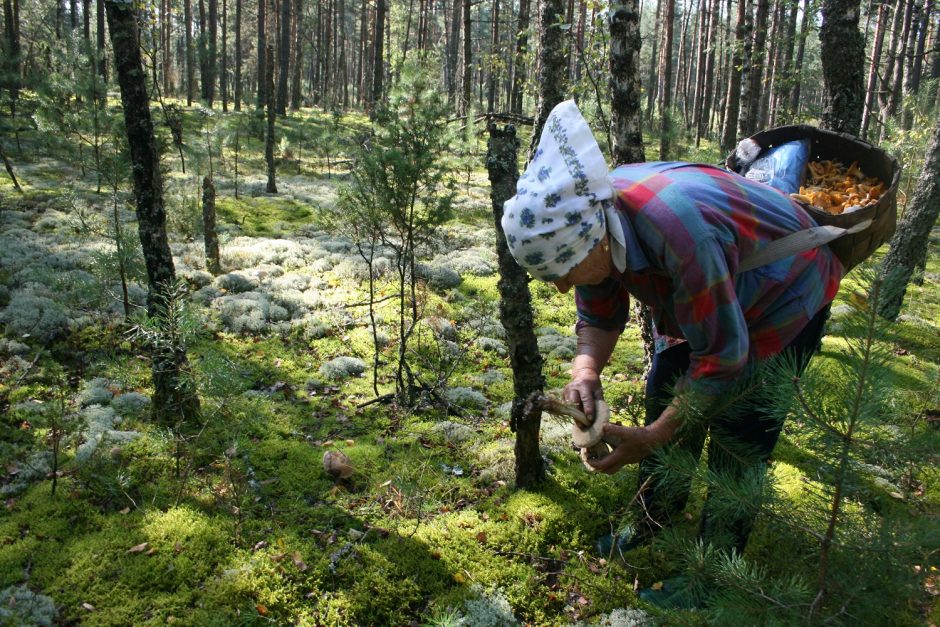 Išsaugotos senosios tradicijos – neapčiuopiamos šalies vertybės