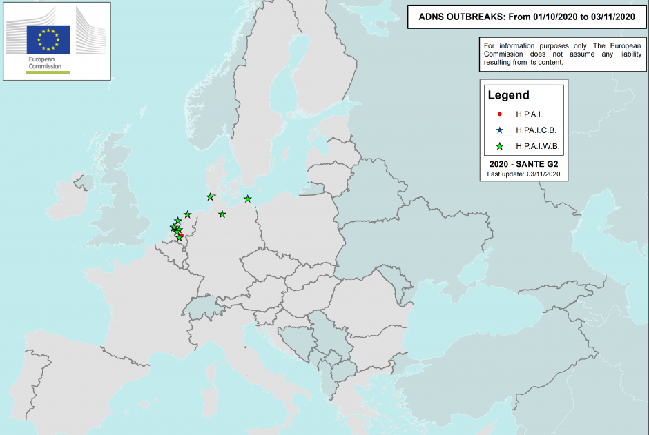 Trijose Europos valstybėse fiksuojami paukščių gripo atvejai