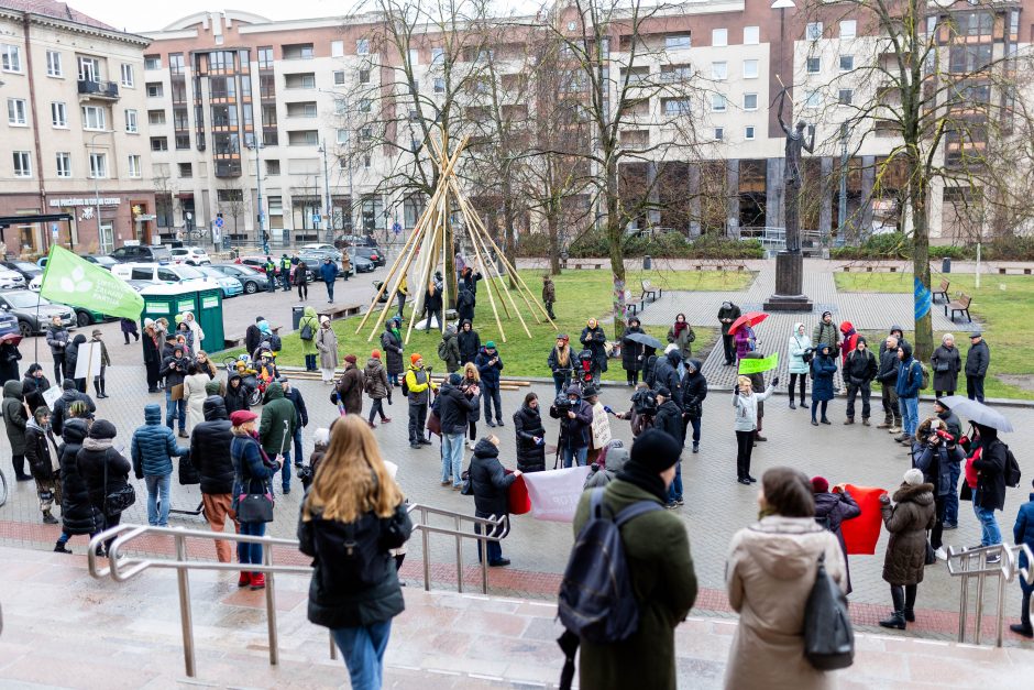 Prie Seimo – mitingas prieš miškų naikinimą: „Dievas sunaikins niokojančius žemę“