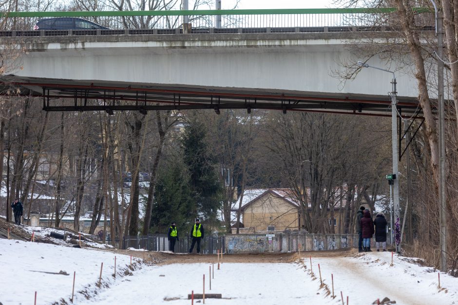 Vilniuje toliau tęsiamos 15-mečio paieškos: mama įvardijo mįslingas detales