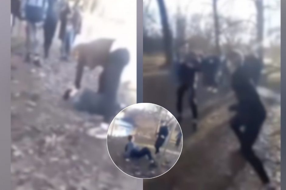 Nepilnamečio egzekucija Panevėžio parke: policija 16-mečiui pareiškė įtarimus 