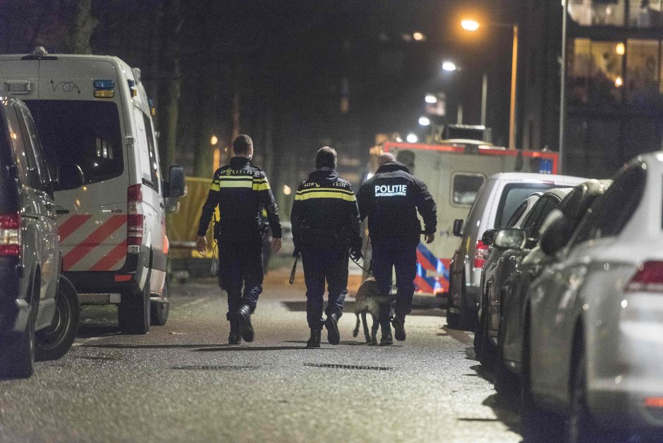 Incidentas Olandijos mieste: vyras tyčia rėžėsi automobiliu į miesto rotušę