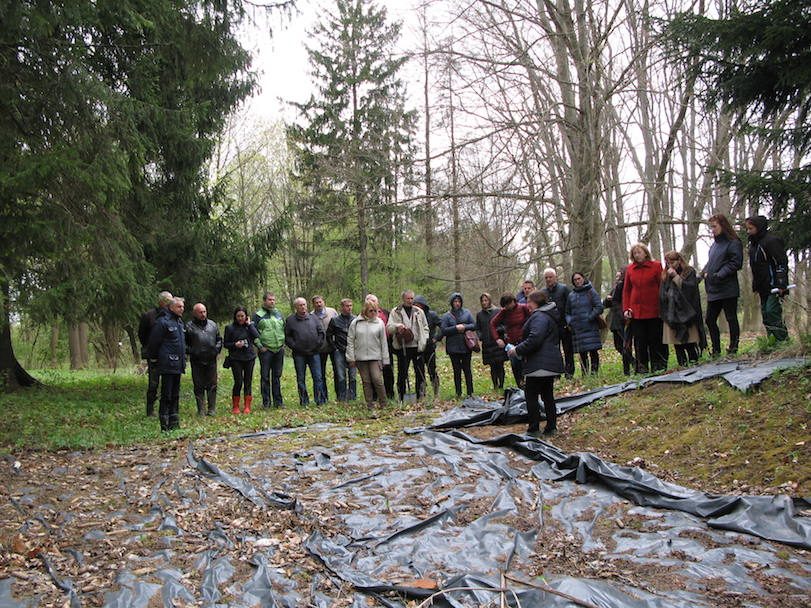 Sosnovskio barščiai ir toliau kelia nerimą: sprendė, kaip naikinti