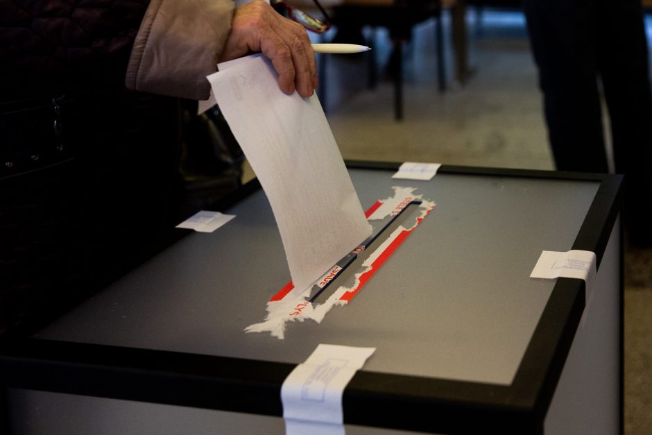 VRK perskaičiuos rinkimų rezultatus Panerių-Grigiškių vienmandatėje apygardoje