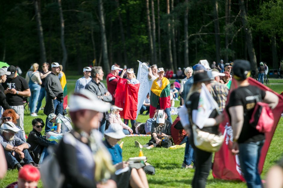 Aiškinamasi, kas sukūrė melagieną apie kariuomenės dalyvavimą „Šeimų marše“