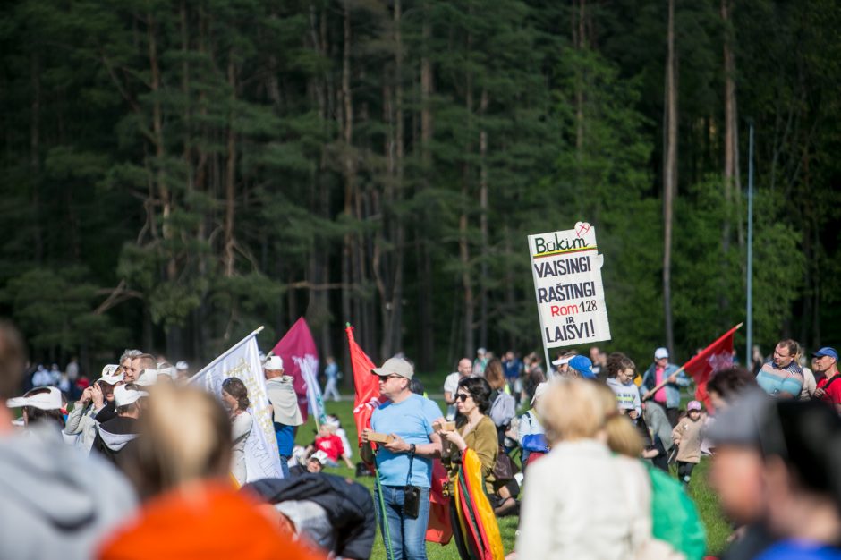 Aiškinamasi, kas sukūrė melagieną apie kariuomenės dalyvavimą „Šeimų marše“