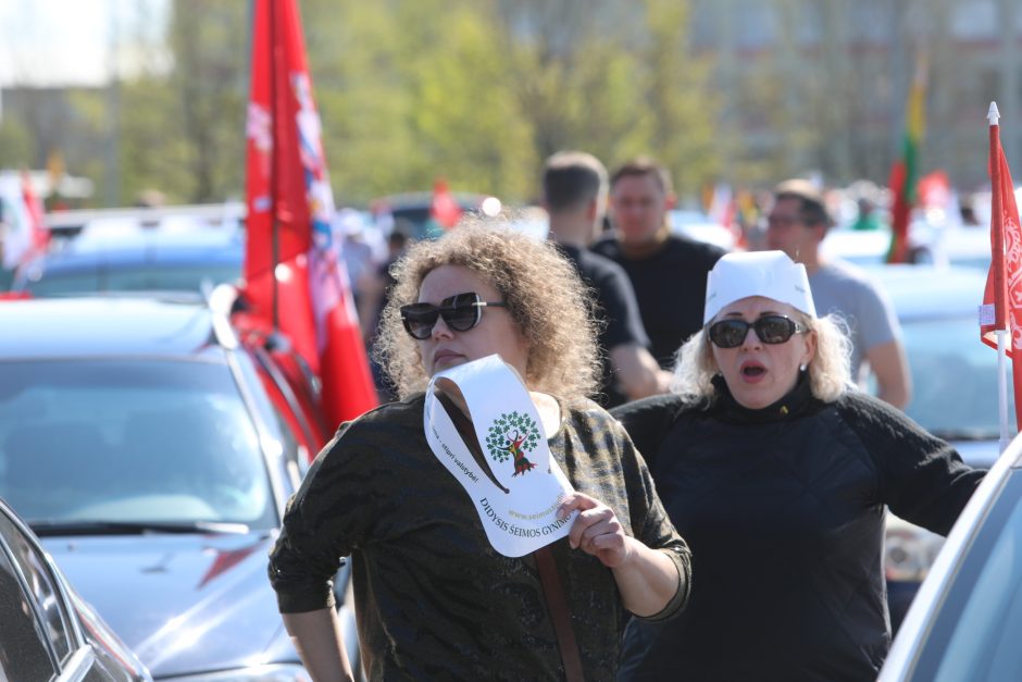 „Didžiojo šeimos gynimo maršo“ dalyvių pasiruošimas Akademijoje