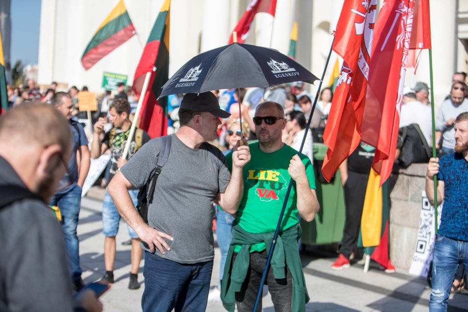 Vilniuje – tūkstantinis protestas: su plakatais „Ne gyvulių pasui“ ir „Dž. Sorošą lauk iš Lietuvos“