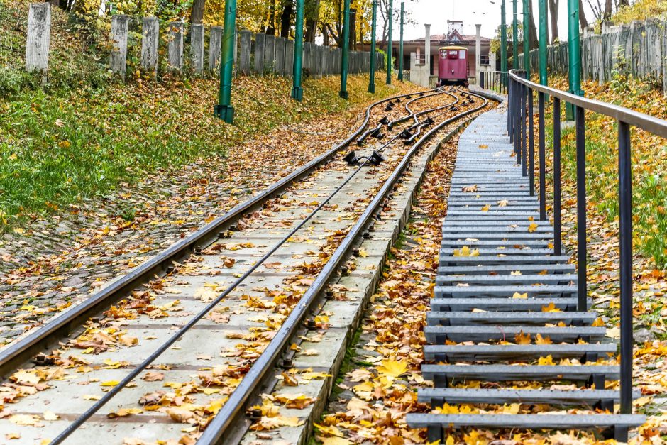 Užsienio režisieriai Kauną pavertė ekrano žvaigžde