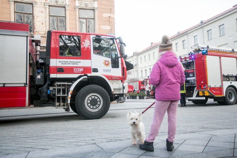 Laisvės alėjoje – gausios ugniagesių pajėgos