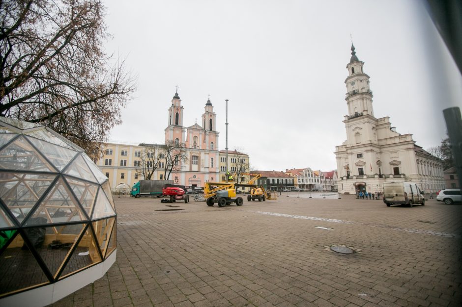 Į viršų stiebiasi Kauno kalėdinės eglutės karkasas: netrukus atkeliaus ir dekoracijos