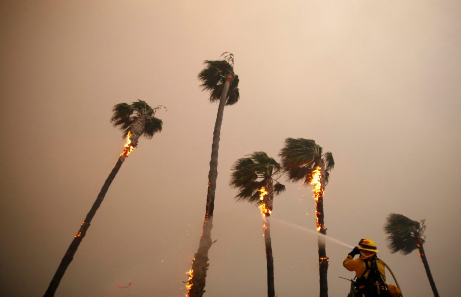 Miškų gaisrai niokoja Kaliforniją