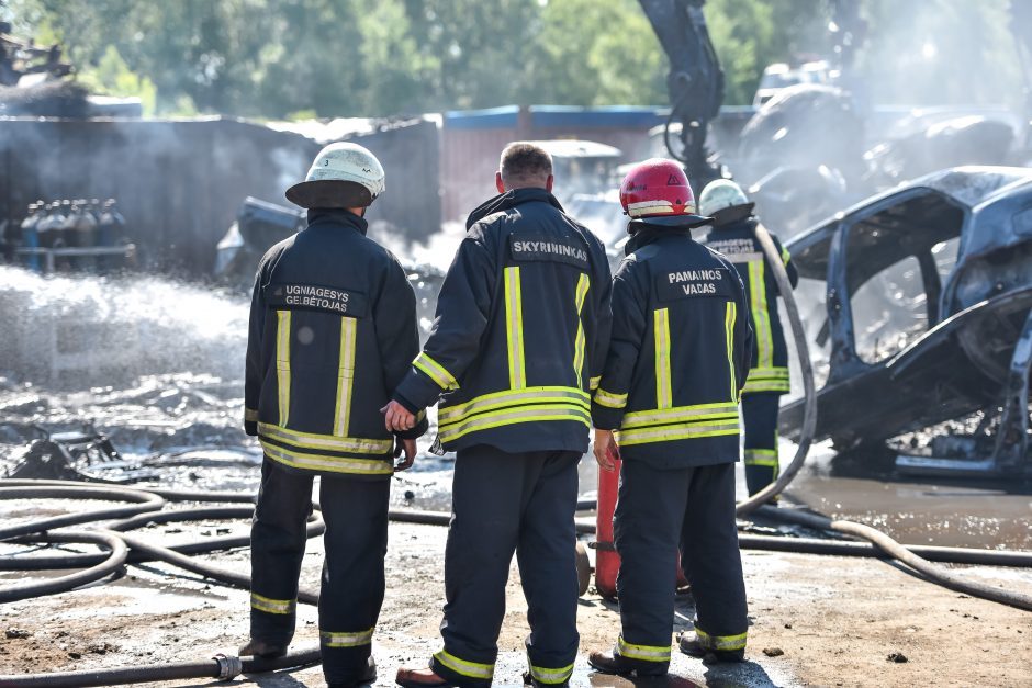 Didžiulis gaisras Kėdainių rajone: sudegė ir pastatai, ir veršelis su šunimis